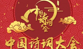 中国诗词大会播出时间（2024年中国诗词大会播出时间）