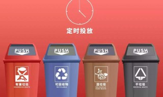 上海垃圾分类哪四类（上海垃圾分类哪四类最多）