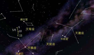 织女星属于哪个星座（织女星属于哪个星座的）