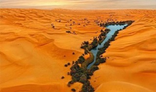 撒哈拉沙漠在哪个国家 撒哈拉沙漠在哪个国家哪个城市