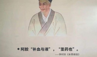 李时珍的资料（李时珍的资料简介20字）