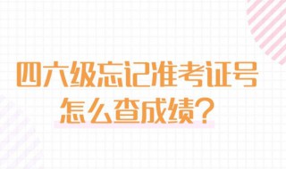 四级忘记准考证号怎么查成绩 四级考试忘了准考证号怎么查询成绩