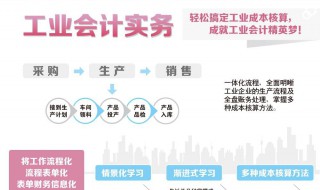 报考初级会计师的条件（报考初级会计师的条件要求）