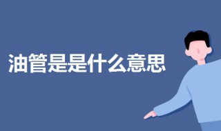 油管是是什么意思 油管是是什么意思 app