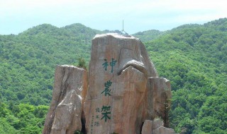 神农架必去5个景点（神农架必去5个景点大九湖）