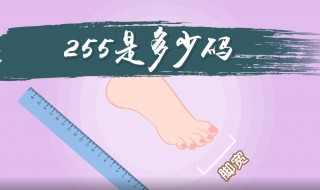 255是多少码（255是多少码的鞋子女）