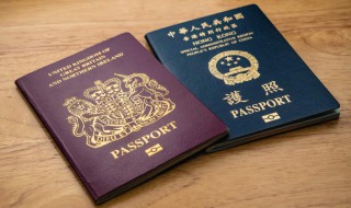 bno护照是什么意思（bno护照 百度百科）