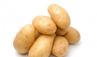 马铃薯和土豆的区别 马铃薯和土豆的区别,土豆是果实