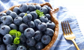 蓝莓吃多了会怎么样（蓝莓一天吃多少粒最好）