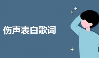 伤声表白歌词 伤声表白改编歌词