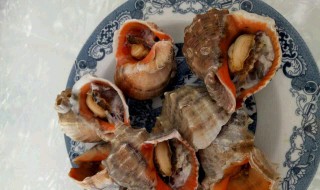 海螺怎么做好吃 海螺怎么做好吃又简单