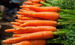 吃胡萝卜的好处 吃胡萝卜的好处和坏处