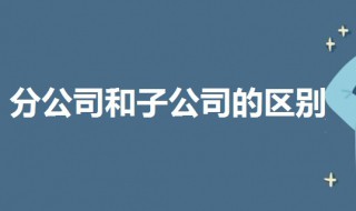 分公司和子公司的区别（总公司与分公司的区别）