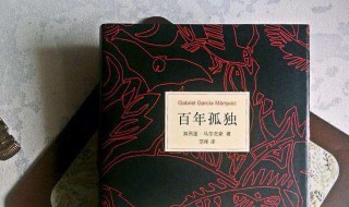 百年孤独介绍（百年孤独介绍500字）