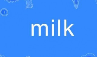 milk什么意思（milk什么意思中文）