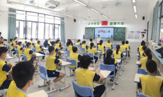 2020开学第一课观后感（2020年开学第1课的观后感）