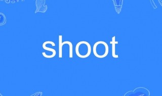 shoot是什么意思 should是什么意思