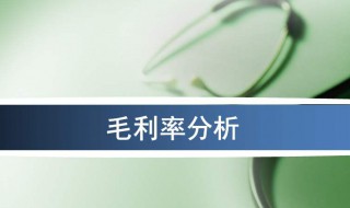 毛利率分析介绍 毛利率分析介绍ppt