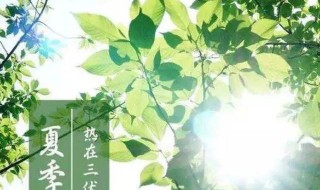 2020年头伏是几月几号 2o21年头伏是几号