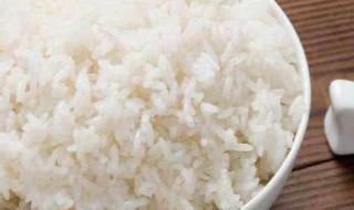 米饭热量 米饭热量高还是面条热量高