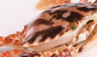 螃蟹种类（50种中国螃蟹种类）