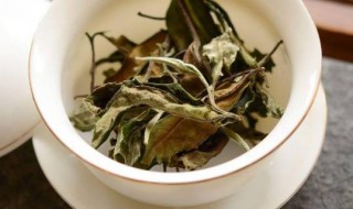 白茶品种有哪几种 白茶种类和等级