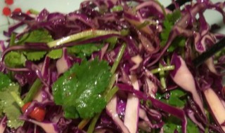 紫包菜凉拌的做法 紫包菜凉拌的做法视频播放