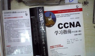 ccna学习指南（ccna基础教程）