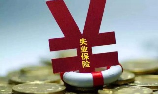 网上申请失业金领取流程 成都网上申请失业金领取流程