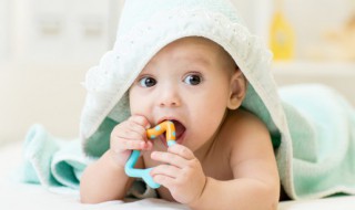 八个月宝宝辅食（八个月宝宝辅食量一次吃多少合适）