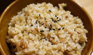糙米饭怎么煮容易烂 糙米饭怎么煮容易烂掉