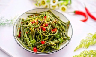 山蕨菜怎么做好吃 山蕨菜怎么做好吃又简单