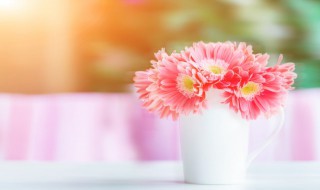 花瓶插花技巧怎么保存花不死 插在花瓶的花如何保鲜