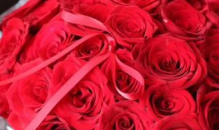 19支红玫瑰花语 19支红玫瑰花语代表什么