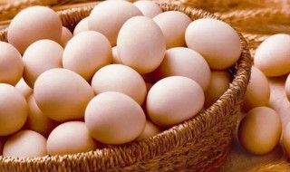 笨鸡蛋和普通鸡蛋营养价值一样吗（绿壳鸡蛋比普通鸡蛋营养高吗）