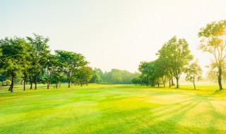 空气污染危害 空气污染危害有什么