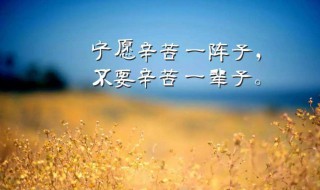 交朋友的诗句（交朋友的诗句加解释）