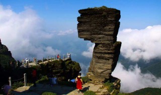 梵净山旅游景点介绍 梵净山旅游景点介绍作文