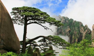 黄山景点介绍（黄山景点介绍及传说）