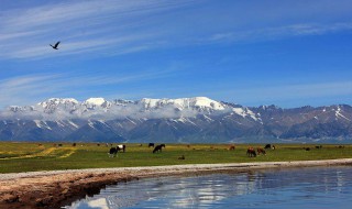 七八月份去哪里旅游最好（78月份适合旅游的地方）