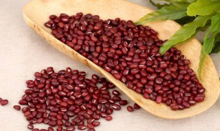 红豆的功效 红豆的功效与副作用