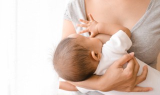 母乳怎么喂养 刚出生的婴儿没有母乳怎么喂养