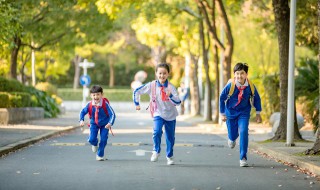 不上学怎么办（小孩不上学怎么办）