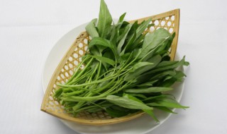 怎么储存野菜（怎么储存野菜不烂）