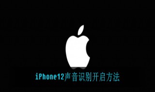 iPhone12如何开启声音识别（iphone 12 声音识别）