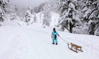 小雪节气文案（小雪节气文案标题）