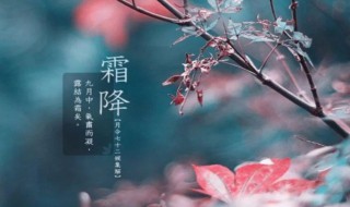 霜降节气吃什么（霜降节气吃什么养生）