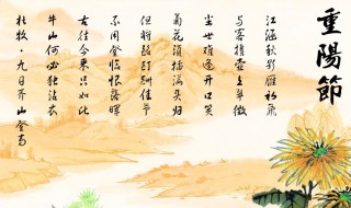 重阳节的来历和传说（重阳节的来历和传说故事200字）