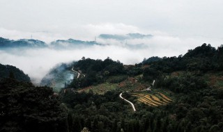 四川雅安旅游景点 四川雅安旅游景点有哪些