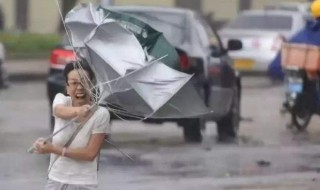 台风来了该怎么防范（台风来了怎么防范答案）